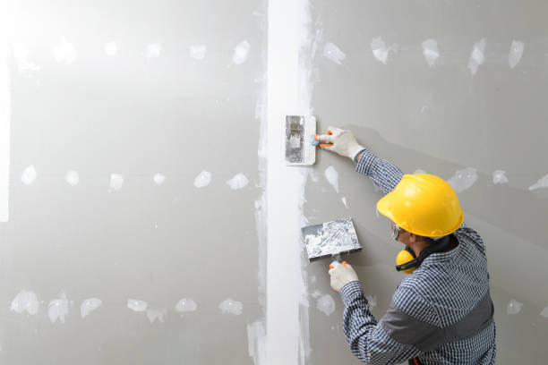 Best Mold Damage Restoration  in Woodbranch, TX