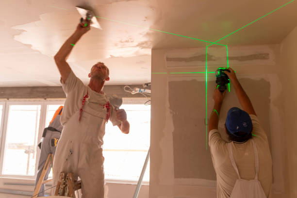 Woodbranch, TX Mold Removal Company